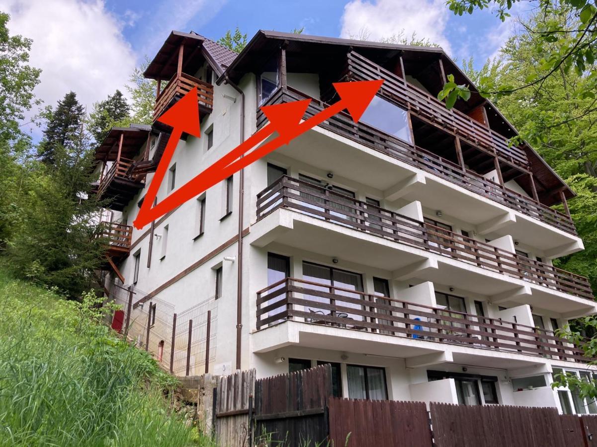 Lucas Duplex Appartement Azuga Buitenkant foto