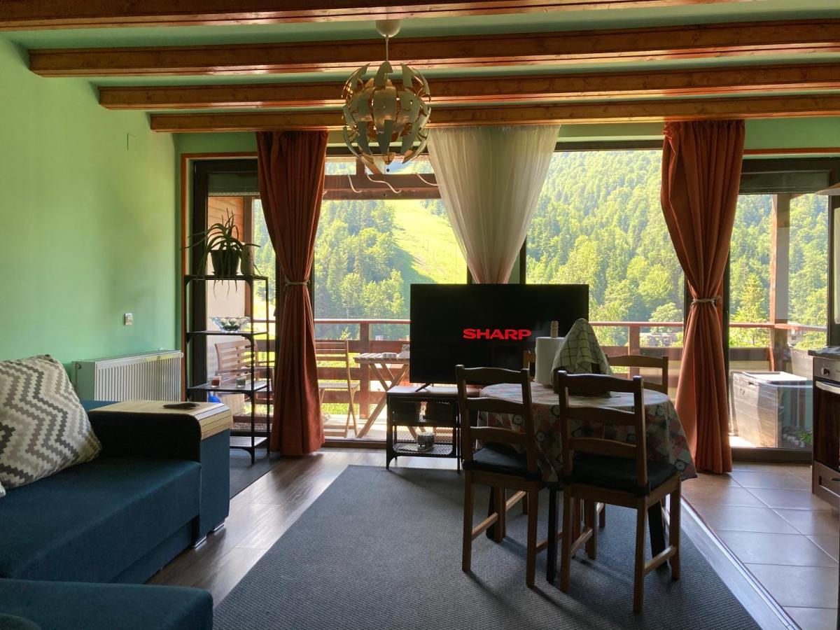 Lucas Duplex Appartement Azuga Buitenkant foto