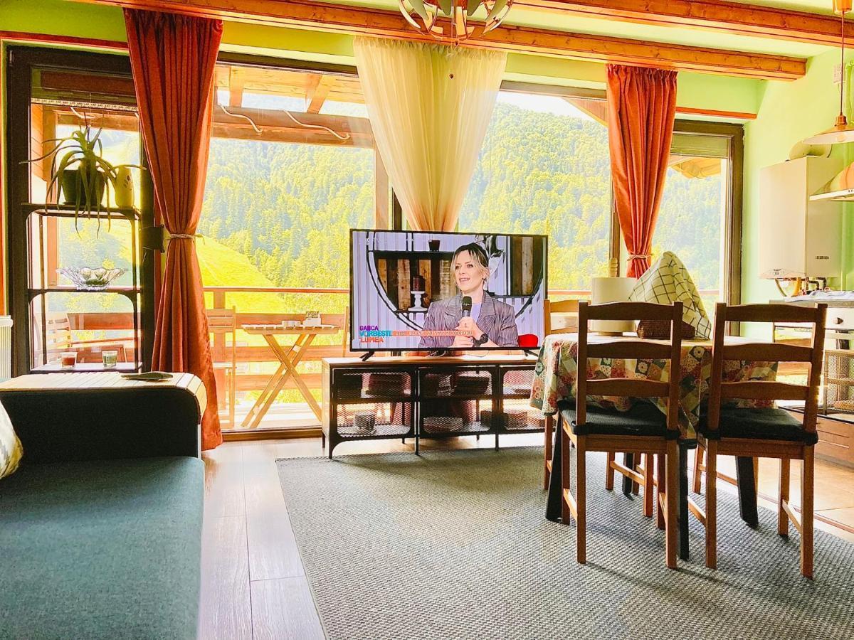 Lucas Duplex Appartement Azuga Buitenkant foto